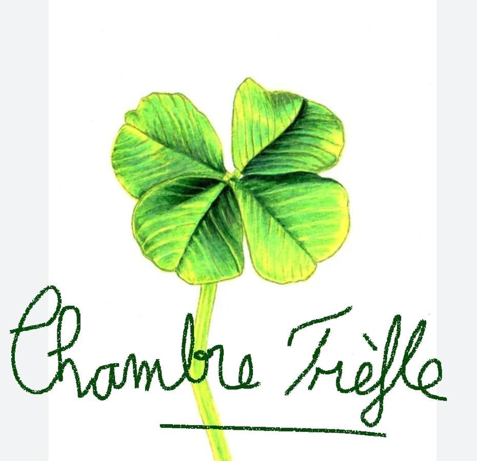 Chambre Trefle Entremont エクステリア 写真