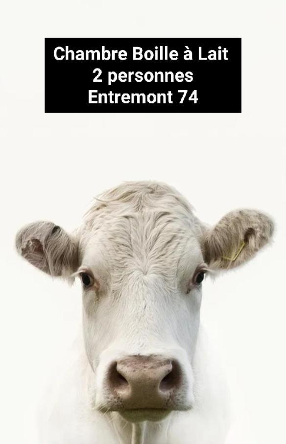 Chambre Trefle Entremont エクステリア 写真