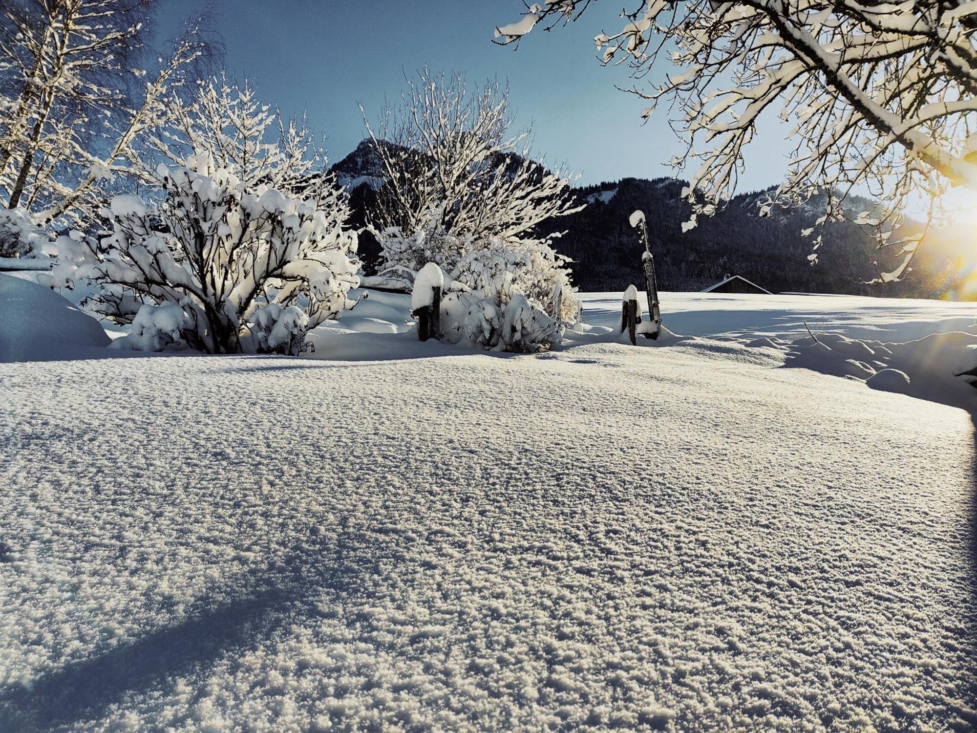 Chambre Trefle Entremont エクステリア 写真